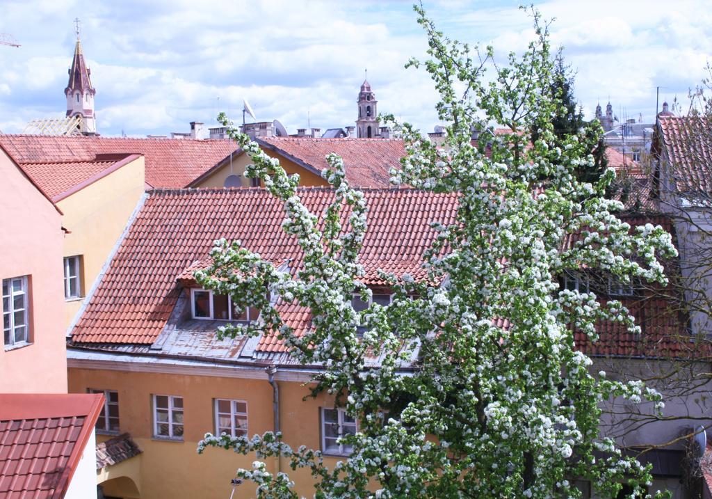 Old Town Apartment Antokolskio 빌뉴스 외부 사진
